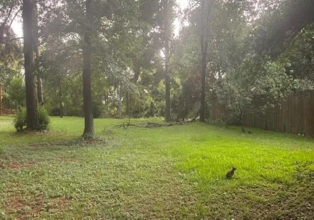 Photo 3 of Land for sale at 0 Woodland Manor, Willis, TX 77318 | MLS# 4652629 | Listing updated on 2026-09-03