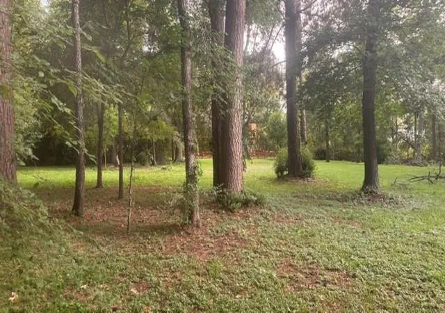 Photo 4 of Land for sale at 0 Woodland Manor, Willis, TX 77318 | MLS# 4652629 | Listing updated on 2026-09-03