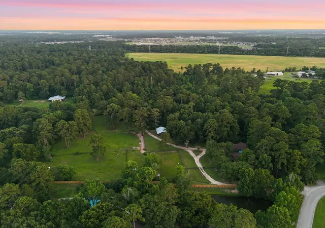 35th image of 9905 Kleppel Rd, Tomball, TX 77375 | MLS# 89417909