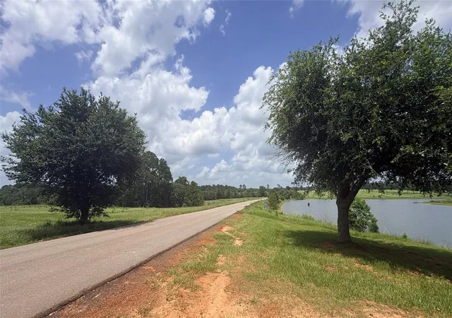Homes for sale in Hillister, TX | Lot 247 Meadow View Dr, Hillister, TX 75979 | MLS# 84722953