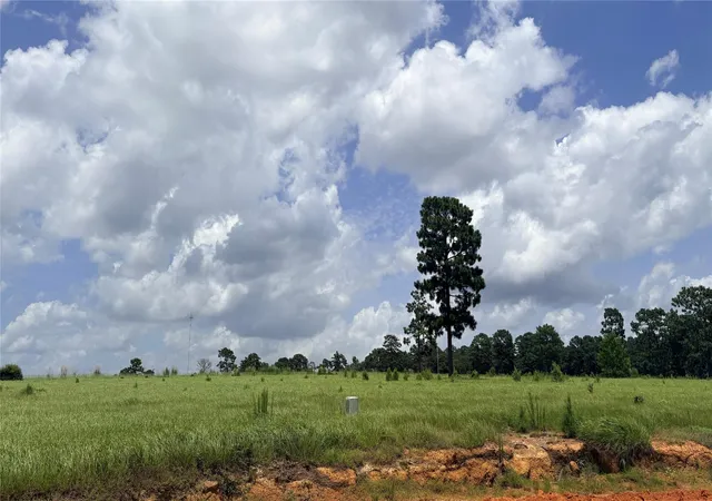 Homes for sale in Hillister, TX | Lot 247 Meadow View Dr, Hillister, TX 75979 | MLS# 84722953