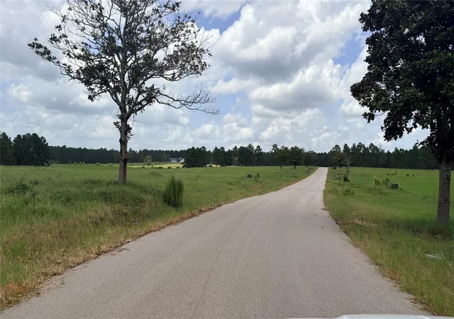 Homes for sale in Hillister, TX | Lot 247 Meadow View Dr, Hillister, TX 75979 | MLS# 84722953
