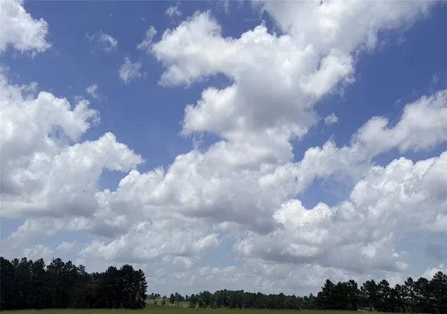 Homes for sale in Hillister, TX | Lot 247 Meadow View Dr, Hillister, TX 75979 | MLS# 84722953