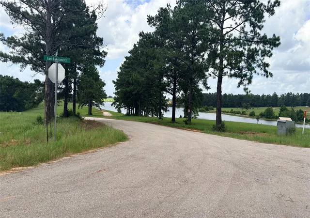 Homes for sale in Hillister, TX | Lot 247 Meadow View Dr, Hillister, TX 75979 | MLS# 84722953