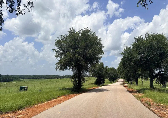 Homes for sale in Hillister, TX | Lot 247 Meadow View Dr, Hillister, TX 75979 | MLS# 84722953