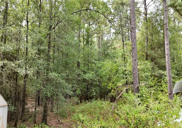 Photo 2 of Land for sale at Tbd Douglas Nugent Rd, Livingston, TX 77351 | MLS# 62987881 | Listing updated on 2026-08-31