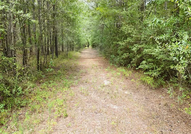 Photo 3 of Land for sale at Tbd Douglas Nugent Rd, Livingston, TX 77351 | MLS# 62987881 | Listing updated on 2026-08-31