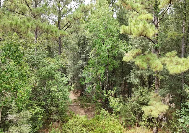 Photo 3 of Land for sale at Tbd Douglas Nugent Rd, Livingston, TX 77351 | MLS# 62987881 | Listing updated on 2026-08-31
