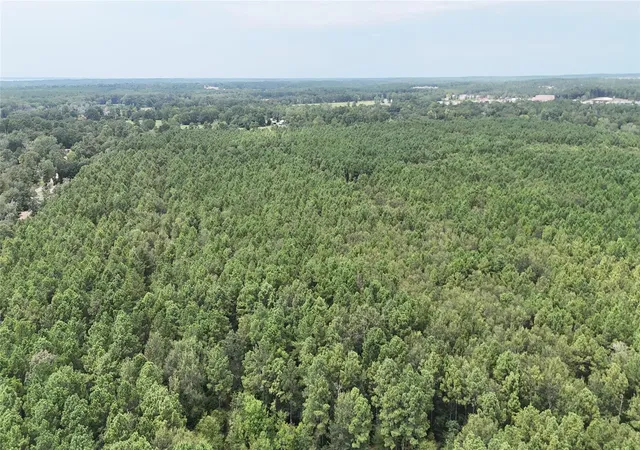 Photo 4 of Land for sale at Tbd Douglas Nugent Rd, Livingston, TX 77351 | MLS# 62987881 | Listing updated on 2026-08-31