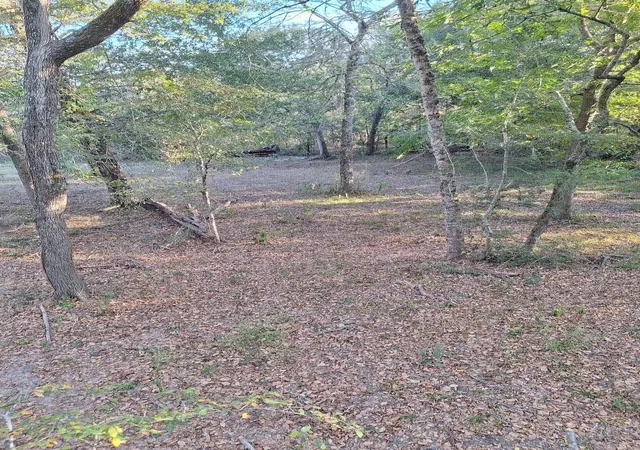 Photo 3 of Land for sale at 8851 Berger Easement, Anderson, TX 77830 | MLS# 5768911 | Listing updated on 2026-07-22