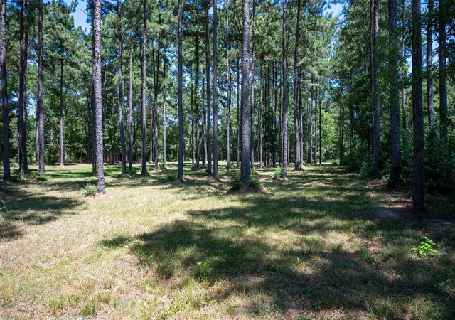 Photo 1 of Land for sale at Tbd County Rd 4670, Fred, TX 77616 | MLS# 53308781 | Listing updated on 2026-08-19