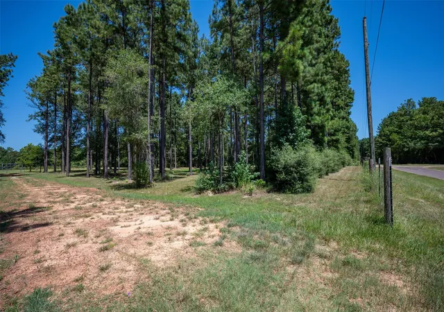 Photo 3 of Land for sale at Tbd County Rd 4670, Fred, TX 77616 | MLS# 53308781 | Listing updated on 2026-08-19