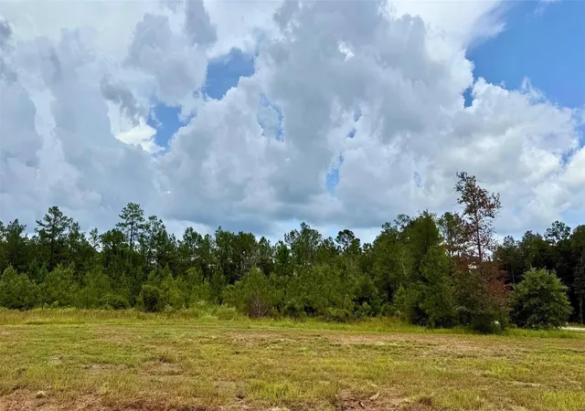1st image of 13190 Blackberry Dr, Lumberton, TX 77657 | MLS# 24340268