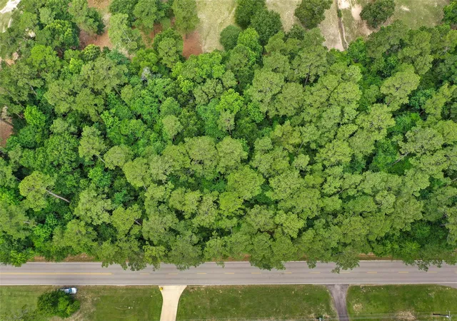 Photo 3 of Land for sale at 3820 Honea Egypt Rd, Montgomery, TX 77316 | MLS# 67054154 | Listing updated on 2026-08-17