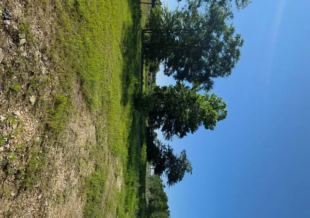Photo 3 of Land for sale at 1052 Road 5260, Cleveland, TX 77327 | MLS# 73953334 | Listing updated on 2026-05-21