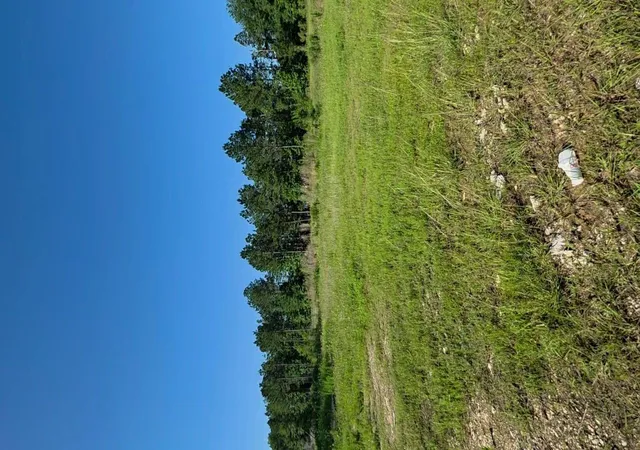 Photo 3 of Land for sale at 1052 Road 5260, Cleveland, TX 77327 | MLS# 73953334 | Listing updated on 2026-05-21