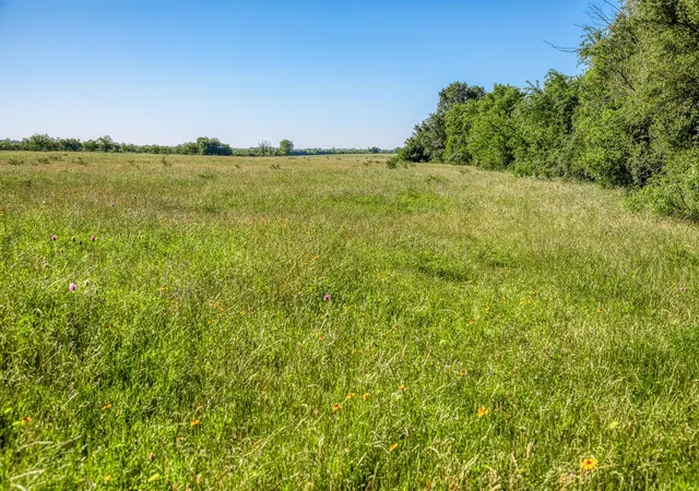 Photo 2 of Land for sale at 00000 Flt Prairie Rd, Washington, TX 77880 | MLS# 53040145 | Listing updated on 2026-06-03