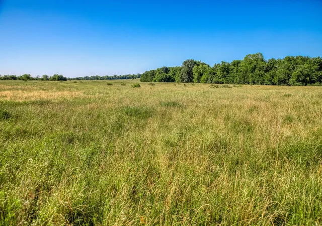 Photo 3 of Land for sale at 00000 Flt Prairie Rd, Washington, TX 77880 | MLS# 53040145 | Listing updated on 2026-06-03
