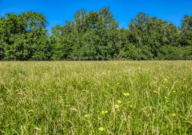 Photo 3 of Land for sale at 00000 Flt Prairie Rd, Washington, TX 77880 | MLS# 53040145 | Listing updated on 2026-06-03
