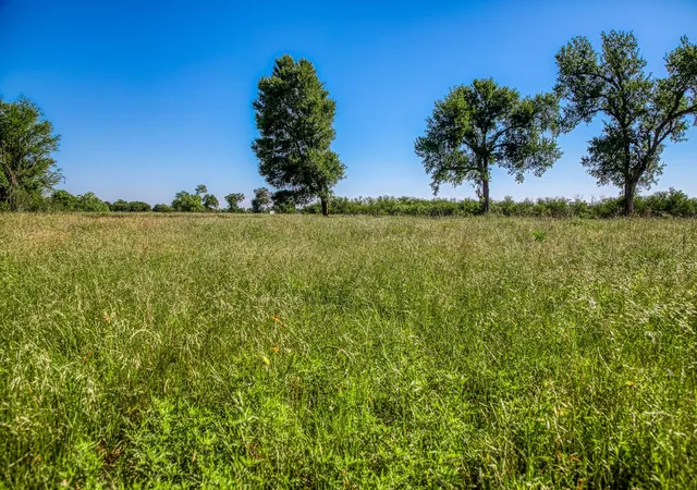 Photo 4 of Land for sale at 00000 Flt Prairie Rd, Washington, TX 77880 | MLS# 53040145 | Listing updated on 2026-06-03