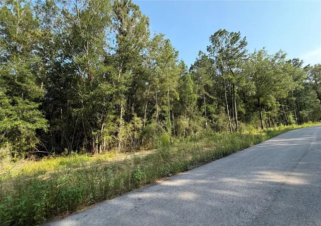 1st image of 213 Kings Ct, Dayton, TX 77535 | MLS# 10706070