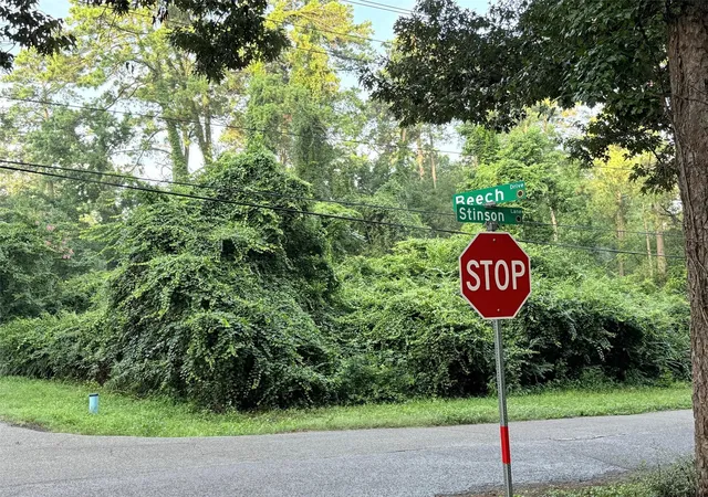 Photo 2 of Land for sale at Tbd Beech Dr, Montgomery, TX 77316 | MLS# 28915254 | Listing updated on 2026-05-27