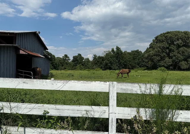 Photo 4 of Land for sale at Tbd Beech Dr, Montgomery, TX 77316 | MLS# 28915254 | Listing updated on 2026-05-27
