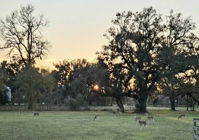Photo 2 of Land for sale at 802 Comanche Trl Dr, Rosharon, TX 77583 | MLS# 39119519 | Listing updated on 2026-07-10