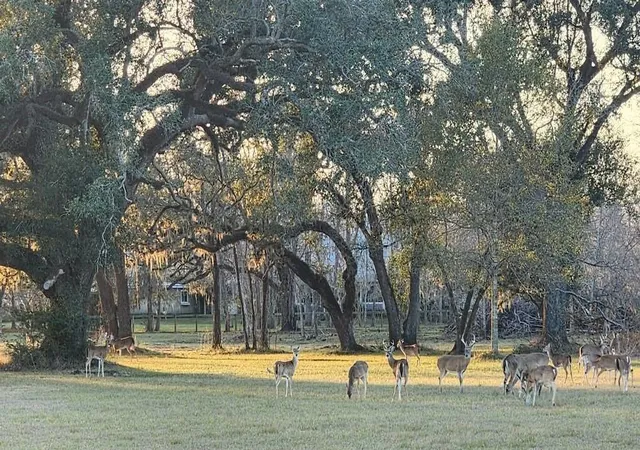 Photo 2 of Land for sale at 802 Comanche Trl Dr, Rosharon, TX 77583 | MLS# 39119519 | Listing updated on 2026-07-10