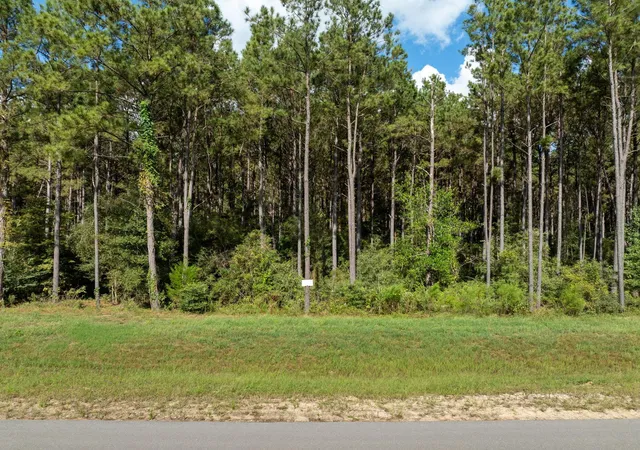 Photo 2 of Land for sale at 15427 Forest Grove Dr, Willis, TX 77378 | MLS# 26057152 | Listing updated on 2026-09-25
