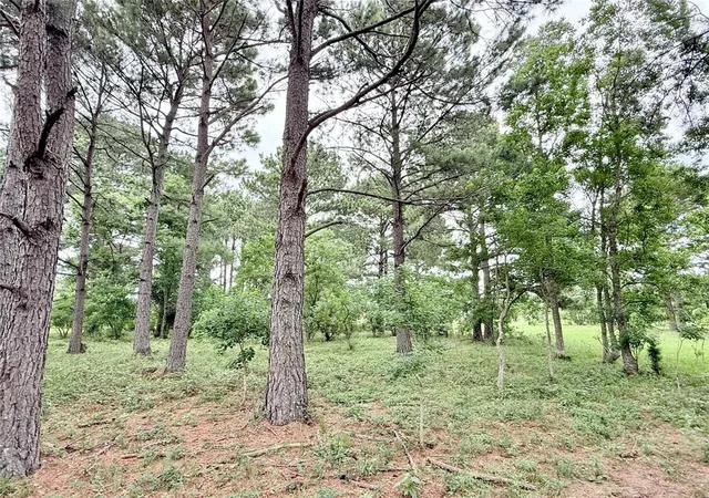Photo 2 of Land for sale at 0 Binford Road Road, Waller, TX 77484 | MLS# 81139052 | Listing updated on 2026-05-20