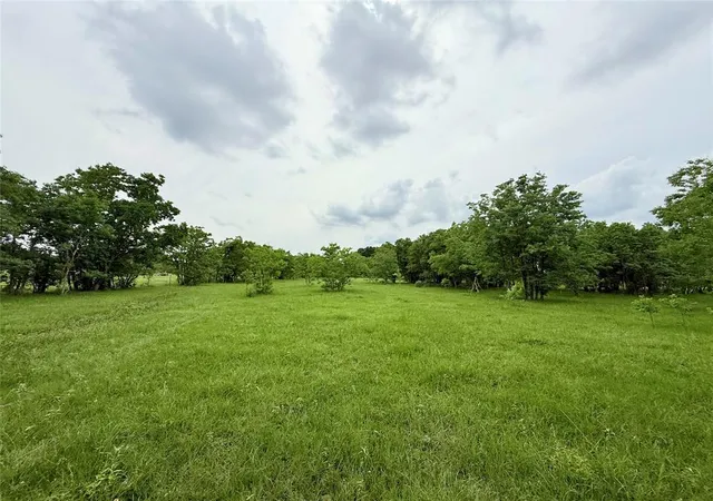 Photo 3 of Land for sale at 0 Binford Road Road, Waller, TX 77484 | MLS# 81139052 | Listing updated on 2026-05-20