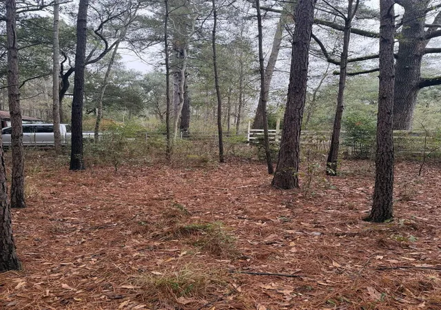 Homes for sale in Kirbyville, TX | 0 County Road 451, Kirbyville, TX 75956 | MLS# 12934538