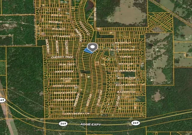 Homes for sale in Plantersville, TX | Tbd White Oak Dr Dr, Plantersville, TX 77363 | MLS# 61380704