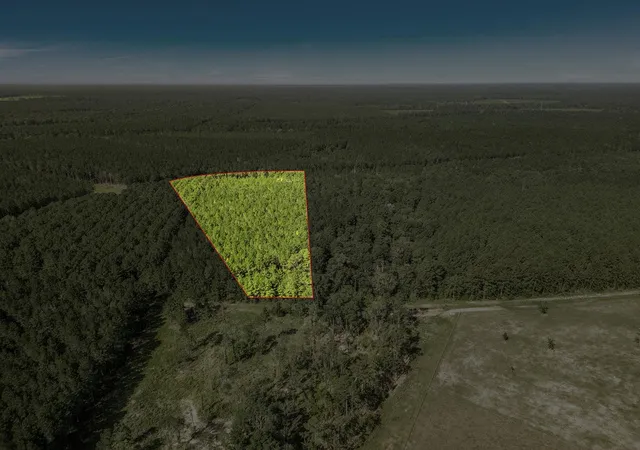 Photo 4 of Land for sale at 0 Queen Anne Way, Huntsville, TX 77320 | MLS# 85507048 | Listing updated on 2026-07-24