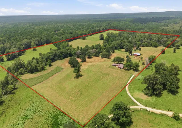 2nd image of 931 Private Road 5140, Grapeland, TX 75844 | MLS# 29956081