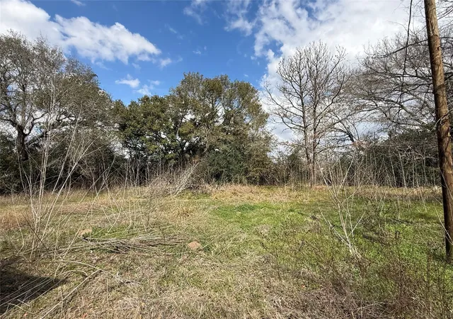 Homes for sale in Needville, TX | 14023 Colony Rd, Needville, TX 77461 | MLS# 49116156