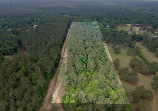 2nd image of 0 County Line Rd Rd, Shepherd, TX 77371 | MLS# 69236371