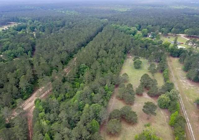 Photo 3 of Land for sale at 0 County Line Rd, Shepherd, TX 77371 | MLS# 69236371 | Listing updated on 2026-04-23
