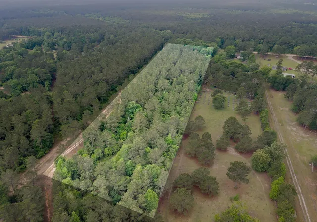 Photo 3 of Land for sale at 0 County Line Rd, Shepherd, TX 77371 | MLS# 69236371 | Listing updated on 2026-04-23