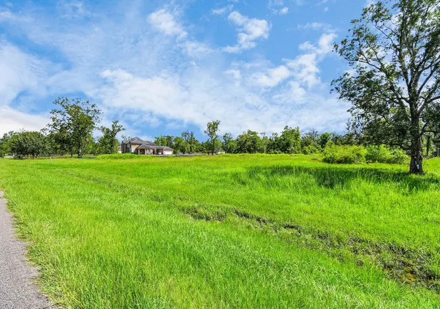 Photo 16 of Land for sale at 1215 China Grv Dr, Rosharon, TX 77583 | MLS# 24370731 | Listing updated on 2026-09-12