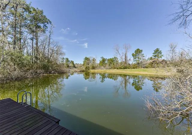 49th image of 10 Raccoon Ramble, Cleveland, TX 77327 | MLS# 66522654