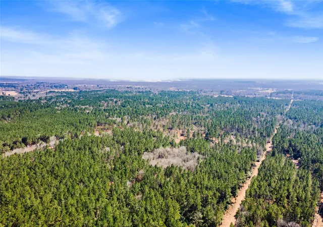 2nd image of Tbd Bo Brown, Trinity, TX 75862 | MLS# 45677371