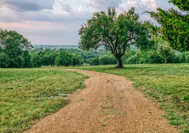 Photo 2 of Land for sale at 11755 Puddin Ln, Washington, TX 77880 | MLS# 51595331 | Listing updated on 2026-09-24