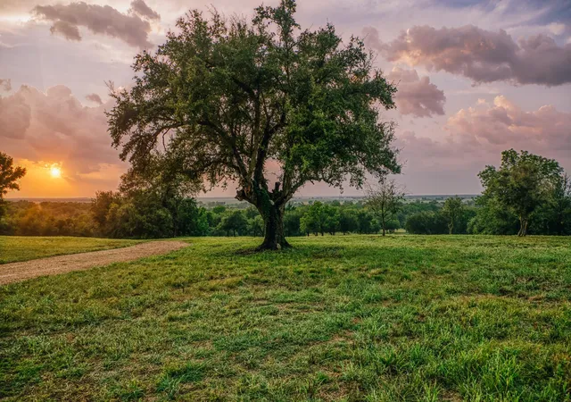 Photo 3 of Land for sale at 11755 Puddin Ln, Washington, TX 77880 | MLS# 51595331 | Listing updated on 2026-09-24