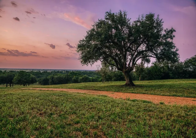 Photo 4 of Land for sale at 11755 Puddin Ln, Washington, TX 77880 | MLS# 51595331 | Listing updated on 2026-09-24