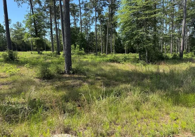 10th image of 006 Private Road 6028 Tract 1 6, Brookeland, TX 75931 | MLS# 15492847