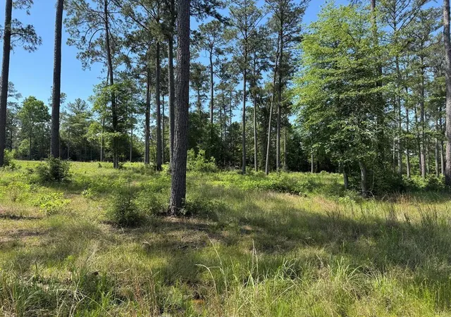 1st image of 006 Private Road 6028 Tract 1 6, Brookeland, TX 75931 | MLS# 15492847