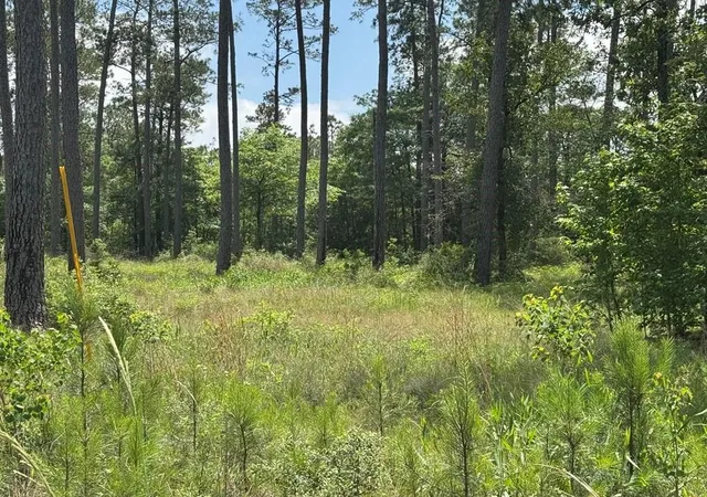 2nd image of 006 Private Road 6028 Tract 1 6, Brookeland, TX 75931 | MLS# 15492847
