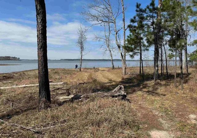 3rd image of 006 Private Road 6028 Tract 1-6, Brookeland, TX 75931 | MLS# 15492847